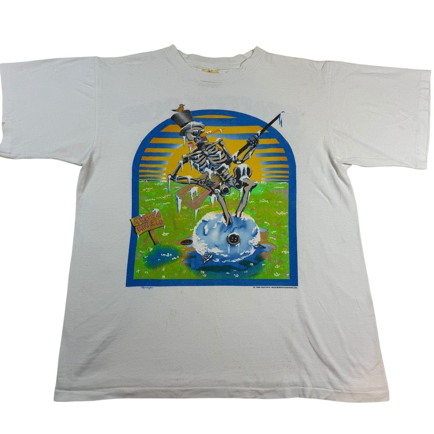 Vintage Grateful Dead Skeleton Spring Tour T-Shirt – 1989, Size L, 100% Cotton