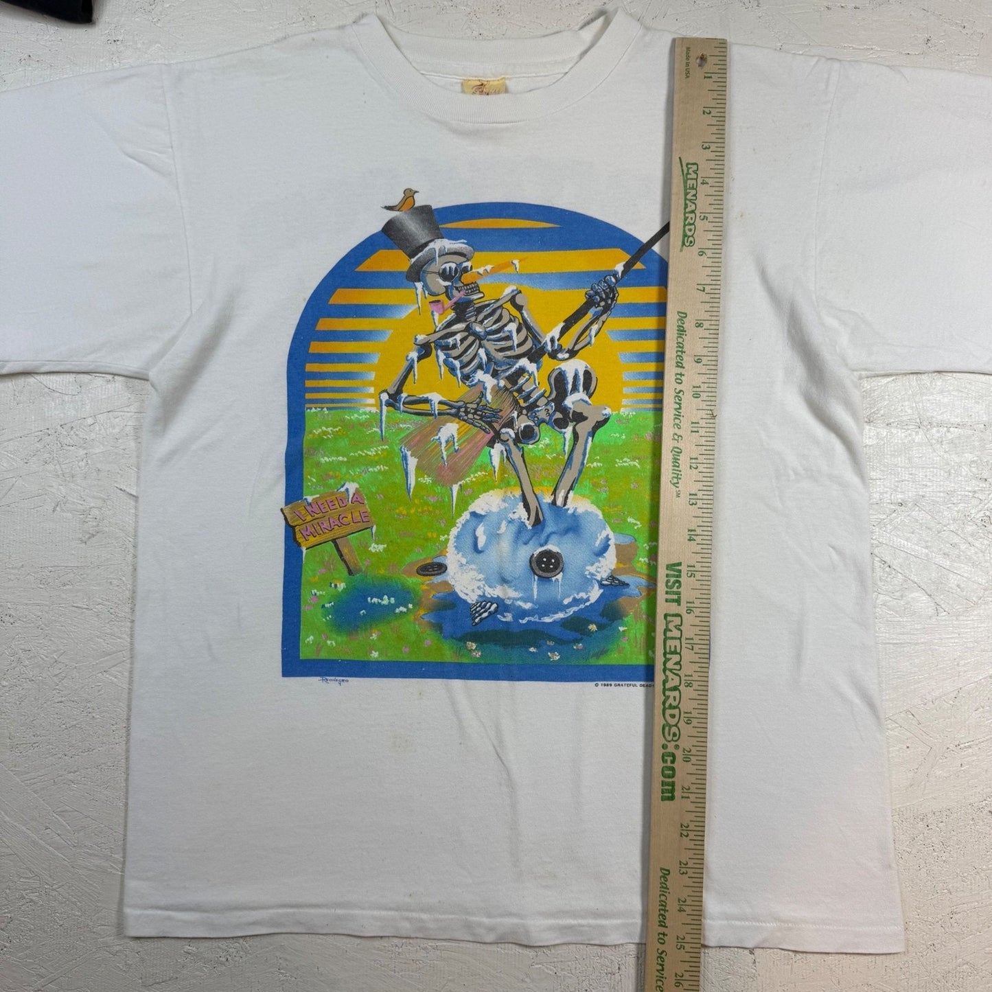 Vintage Grateful Dead Skeleton Spring Tour T-Shirt – 1989, Size L, 100% Cotton