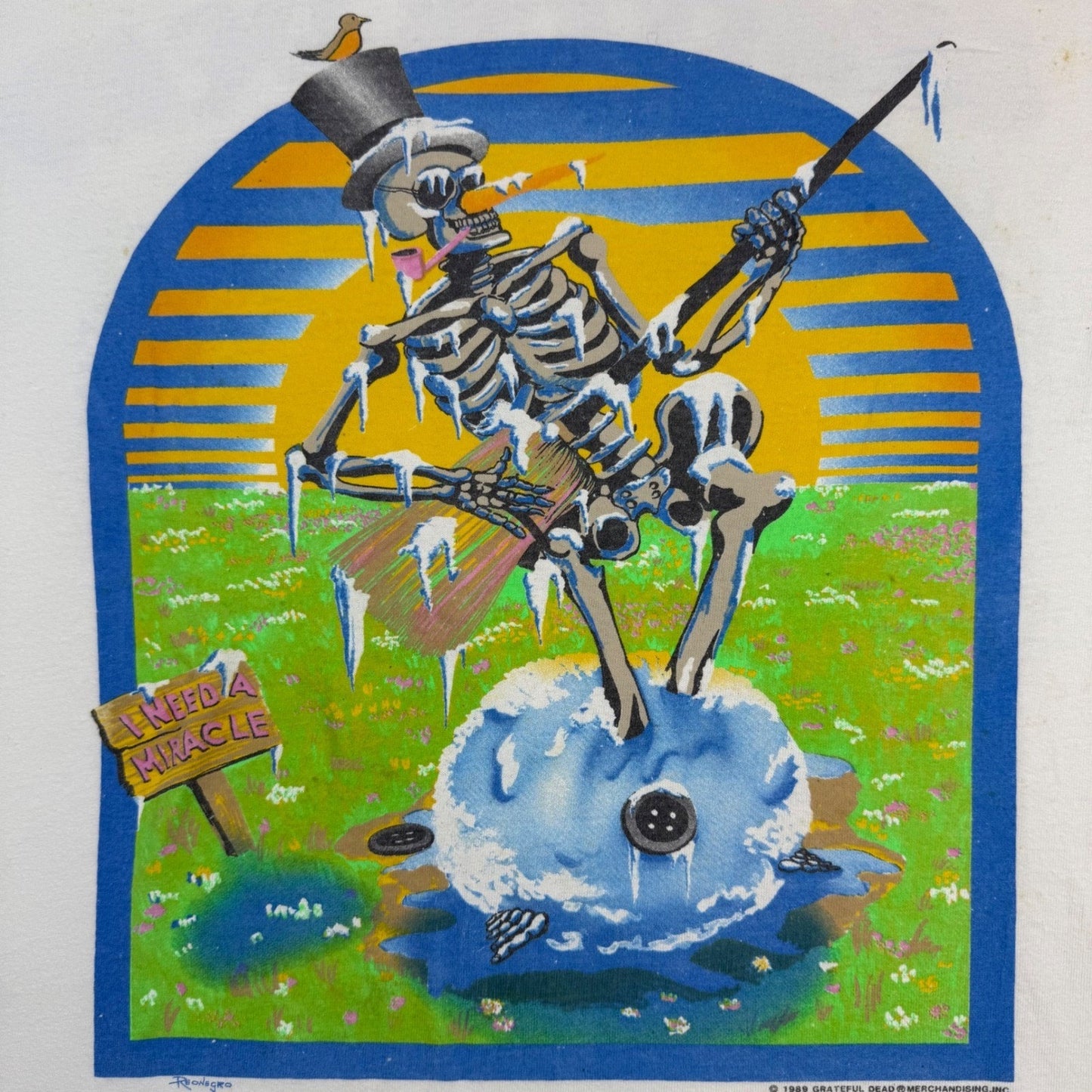 Vintage Grateful Dead Skeleton Spring Tour T-Shirt – 1989, Size L, 100% Cotton