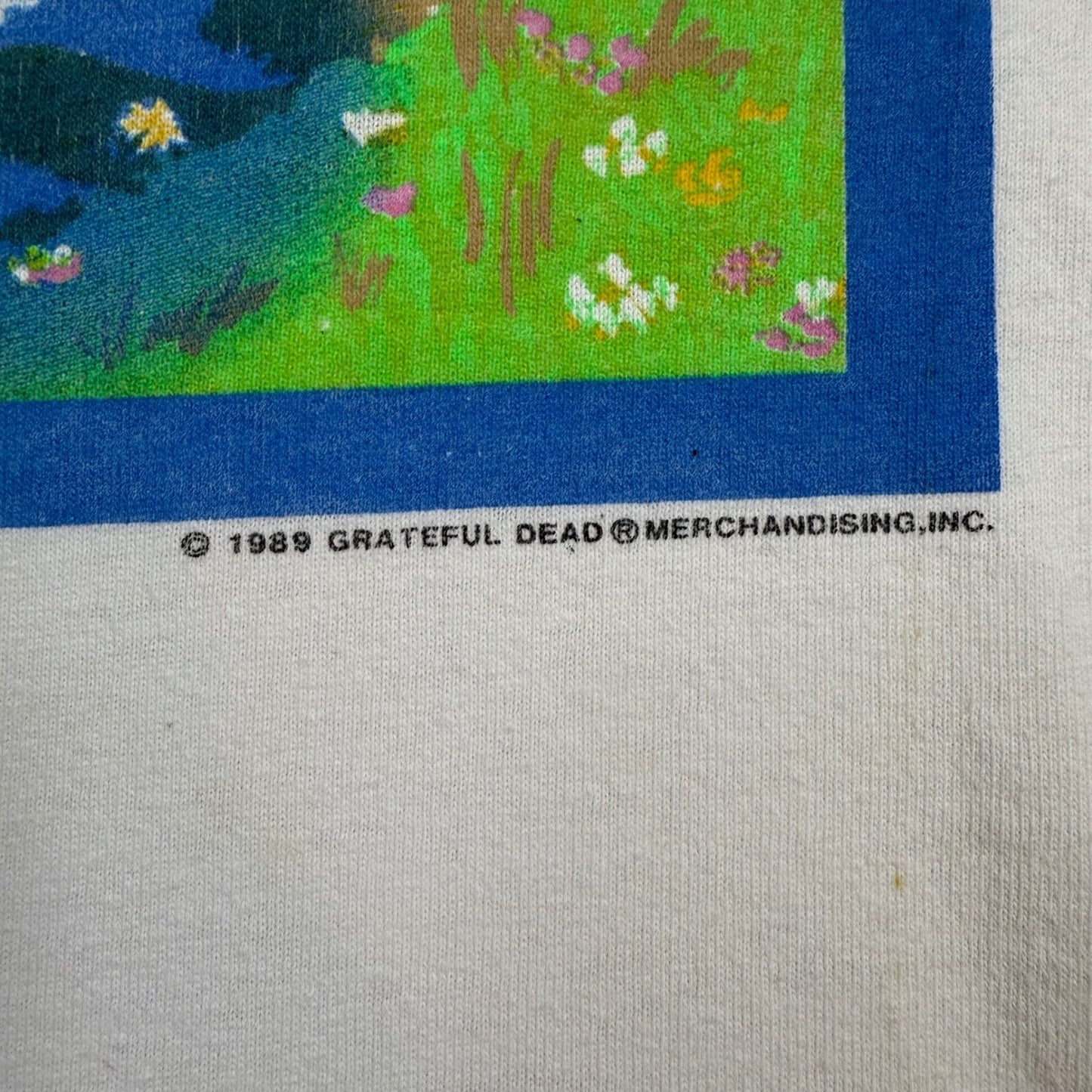 Vintage Grateful Dead Skeleton Spring Tour T-Shirt – 1989, Size L, 100% Cotton