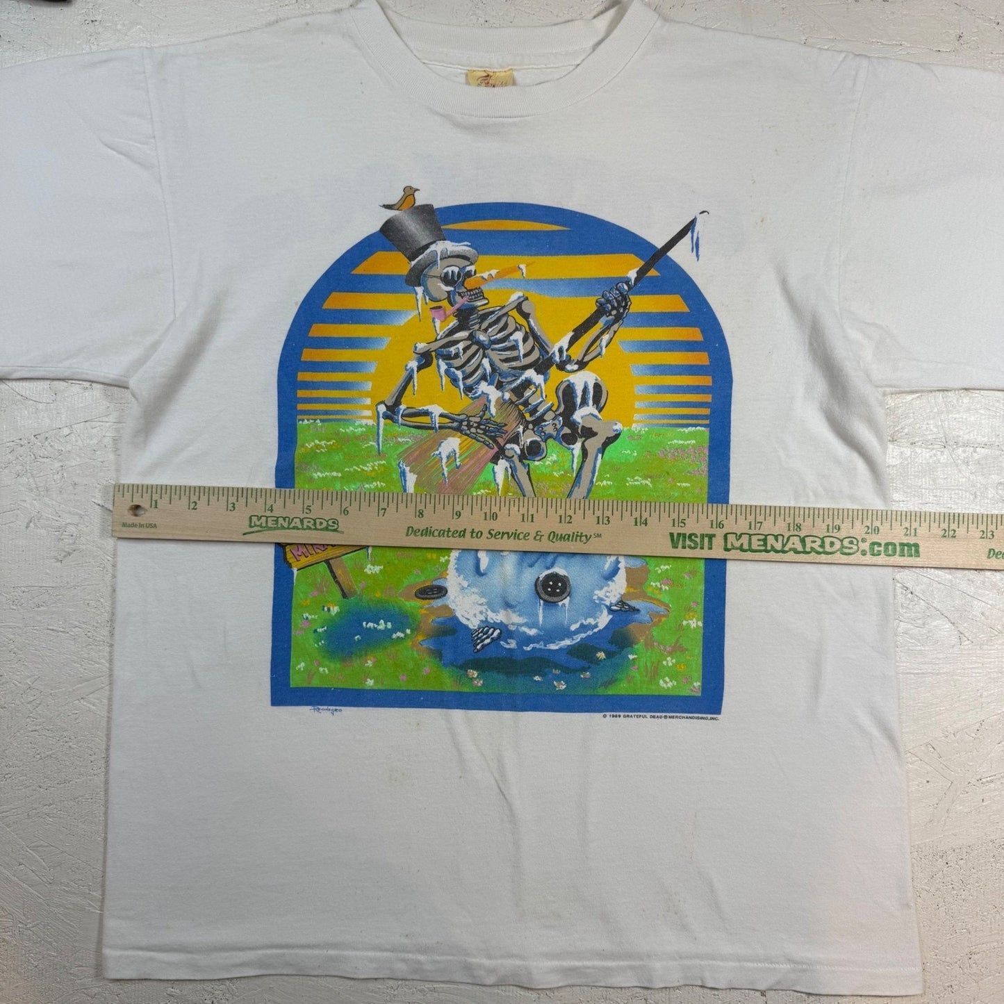Vintage Grateful Dead Skeleton Spring Tour T-Shirt – 1989, Size L, 100% Cotton